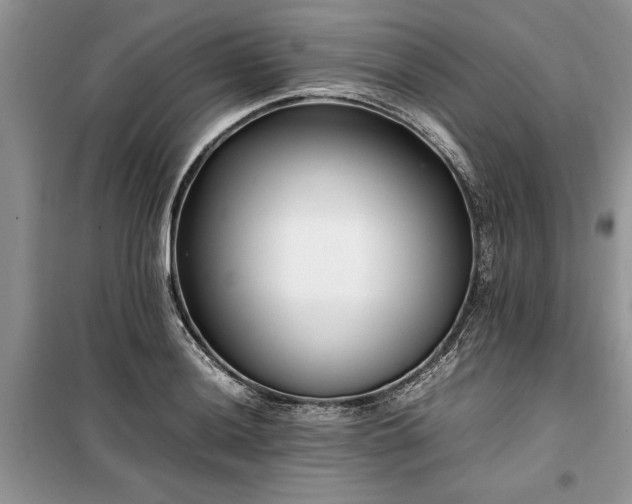 X0000099511036200805291145