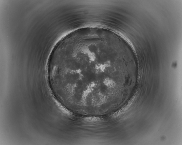 X0000099511037200805291145