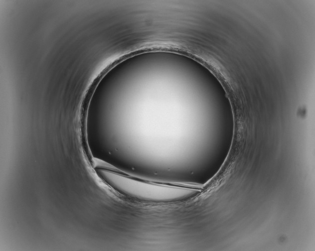 X0000099511038200805291145