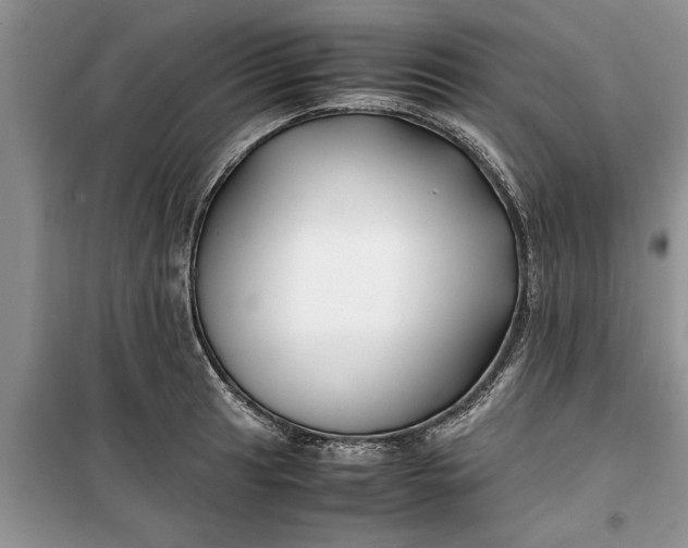 X0000099511041200805291145