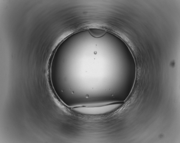 X0000099511042200805291145