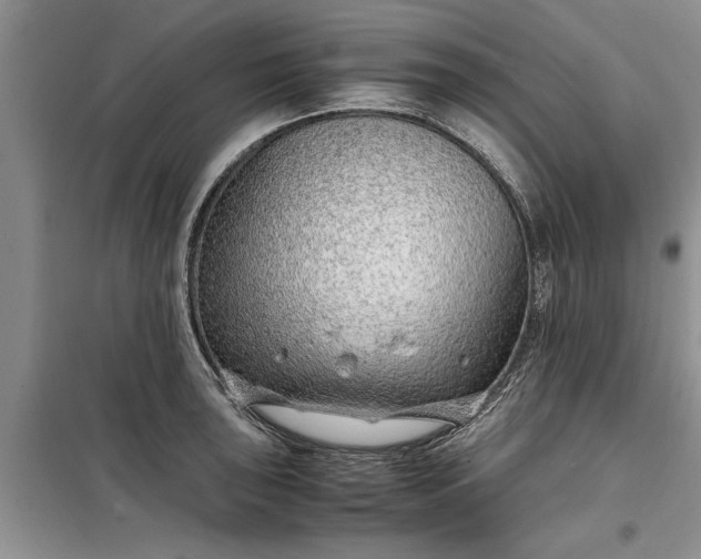 X0000099511043200805291145