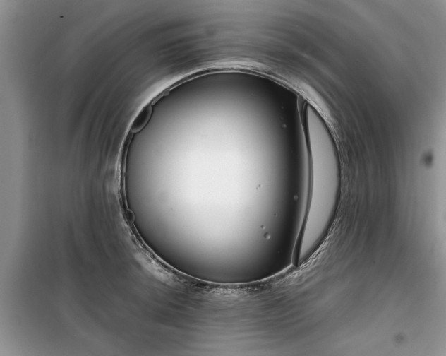 X0000099511044200805291145