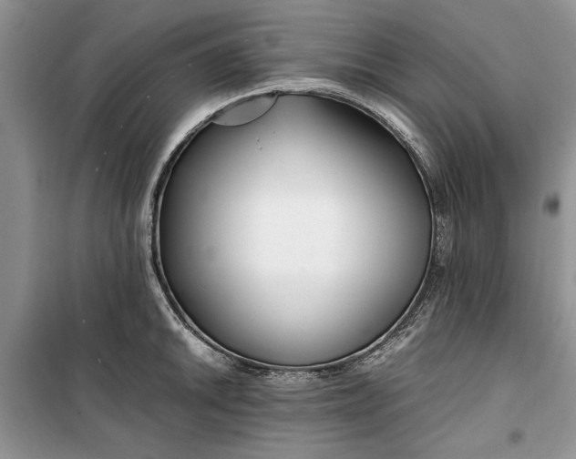 X0000099511046200805291145