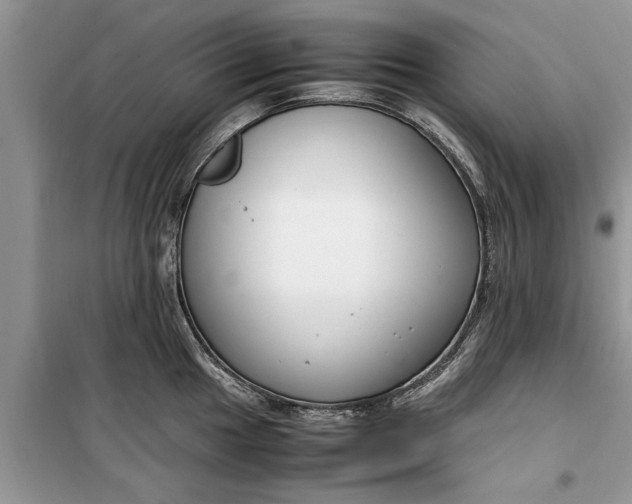 X0000099511049200805291145