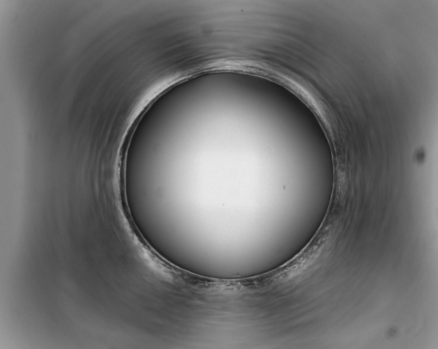 X0000099511050200805291145