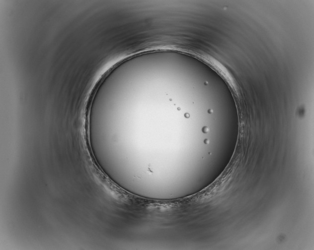 X0000099511051200805291145