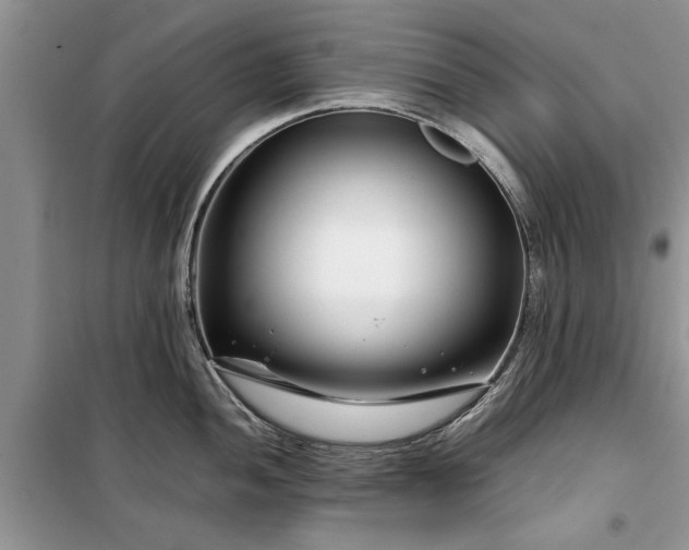 X0000099511052200805291145