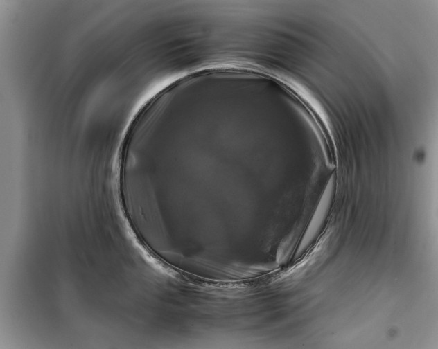 X0000099511053200805291145