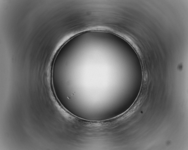 X0000099511054200805291145