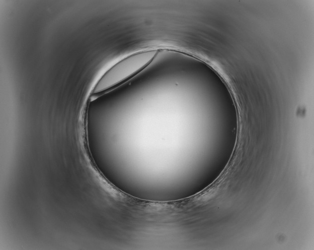 X0000099511056200805291145