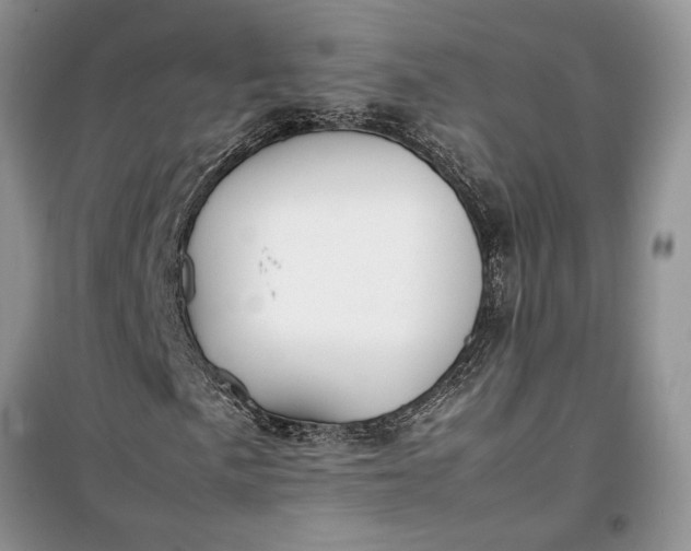 X0000099511057200805291144