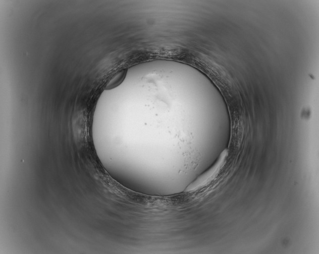 X0000099511058200805291144