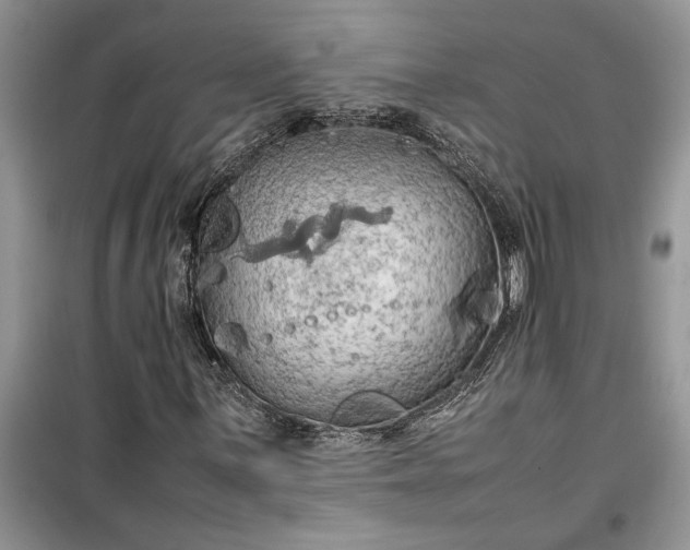 X0000099511059200805291144