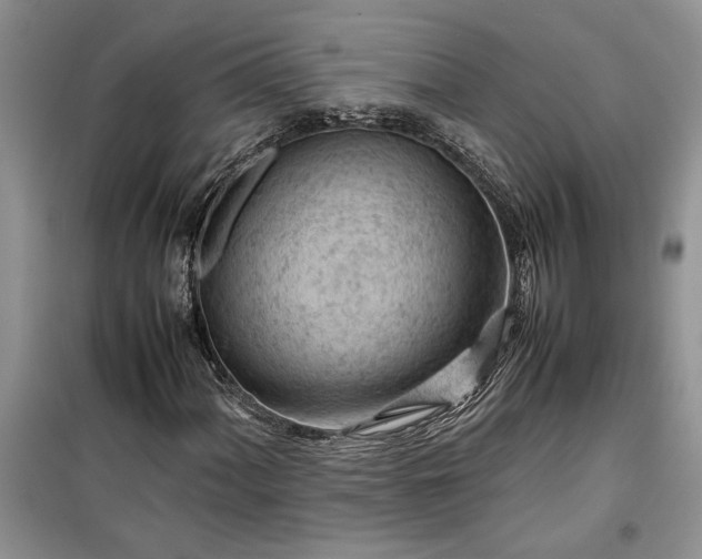 X0000099511060200805291144