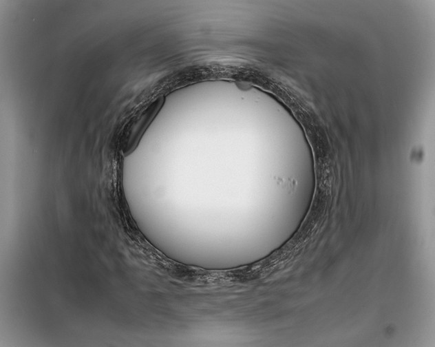 X0000099511061200805291144