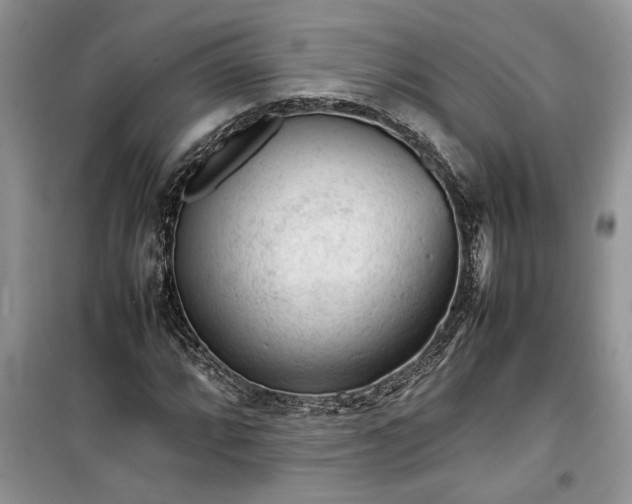 X0000099511064200805291144