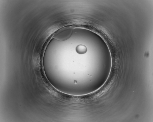 X0000099511065200805291144