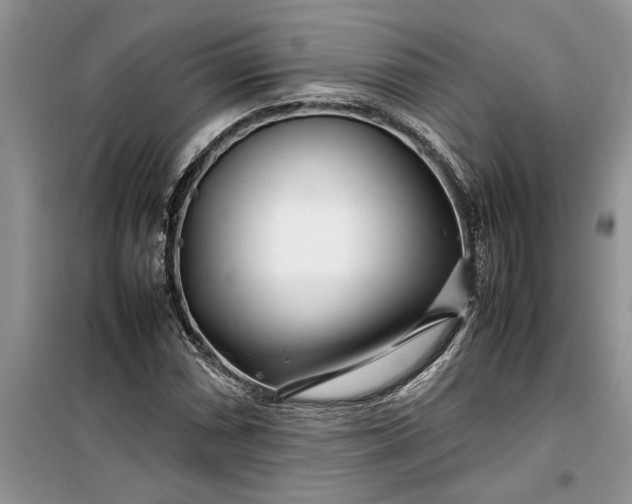 X0000099511066200805291144