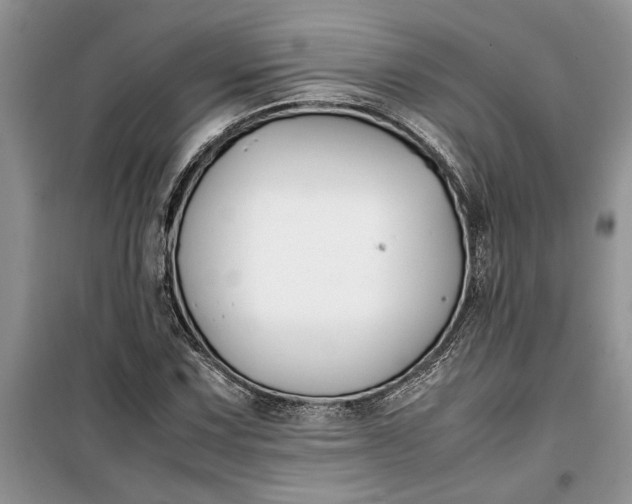 X0000099511067200805291144