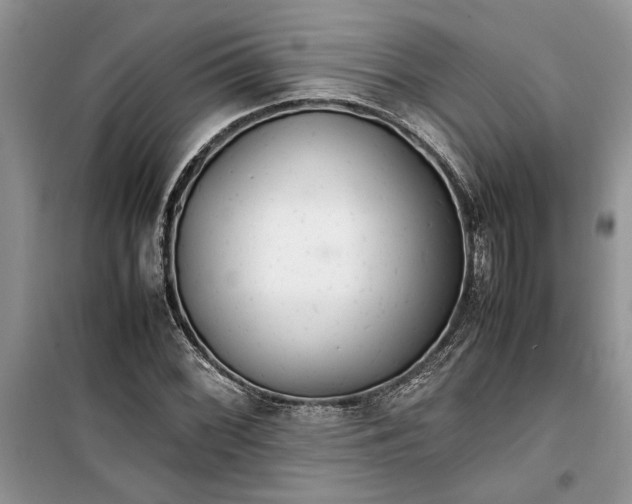 X0000099511068200805291144