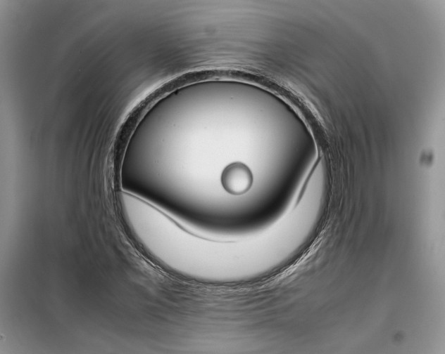 X0000099511069200805291144