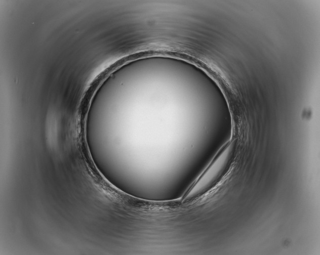 X0000099511070200805291144