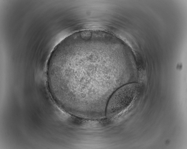 X0000099511071200805291144