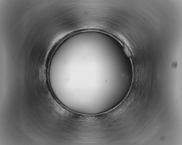 X0000099511072200805291144