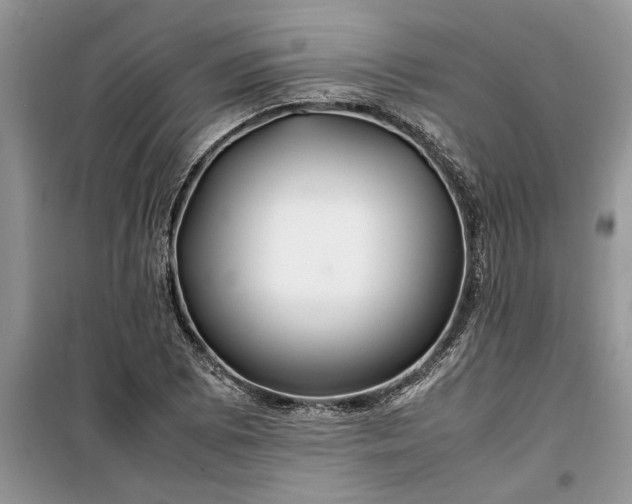 X0000099511073200805291144