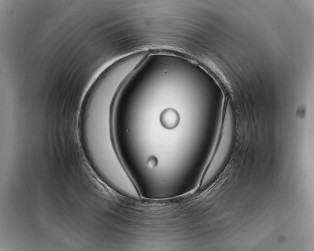 X0000099511076200805291144