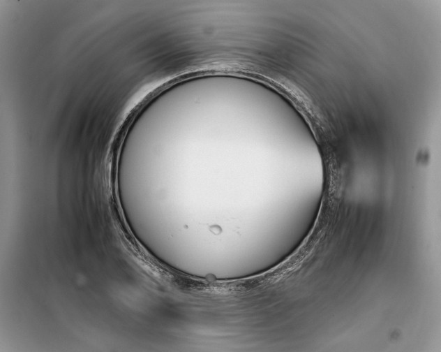 X0000099511078200805291144