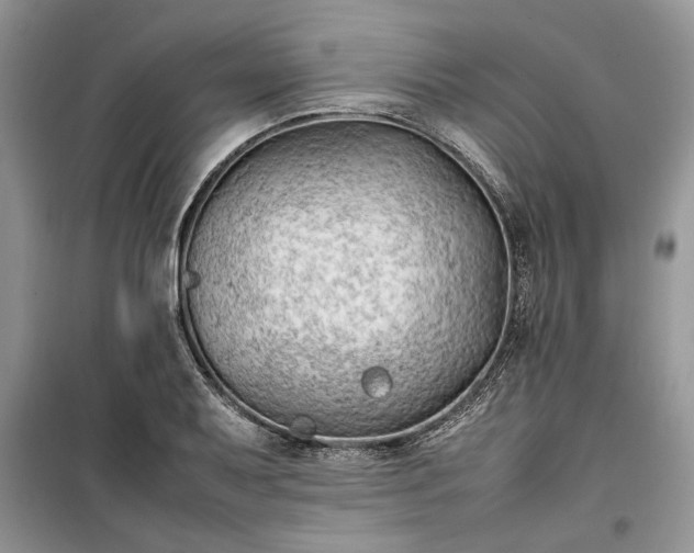 X0000099511079200805291144