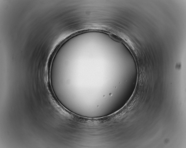 X0000099511080200805291144