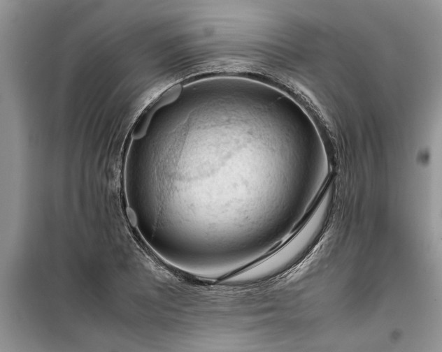 X0000099511081200805291144