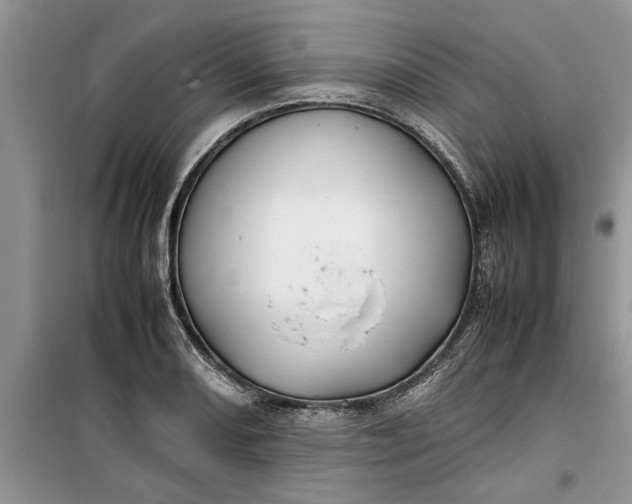 X0000099511082200805291144