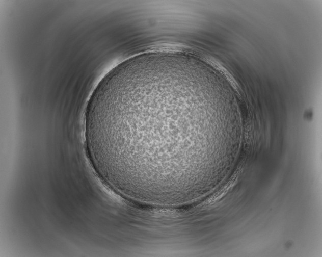 X0000099511083200805291144