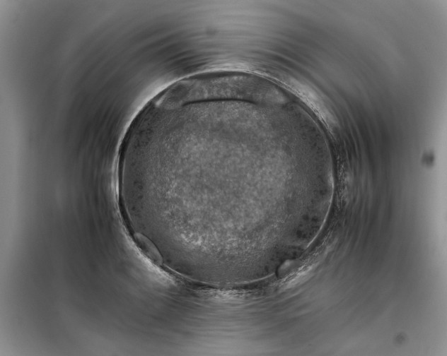 X0000099511084200805291144