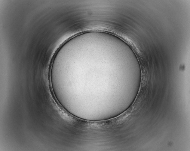 X0000099511086200805291144