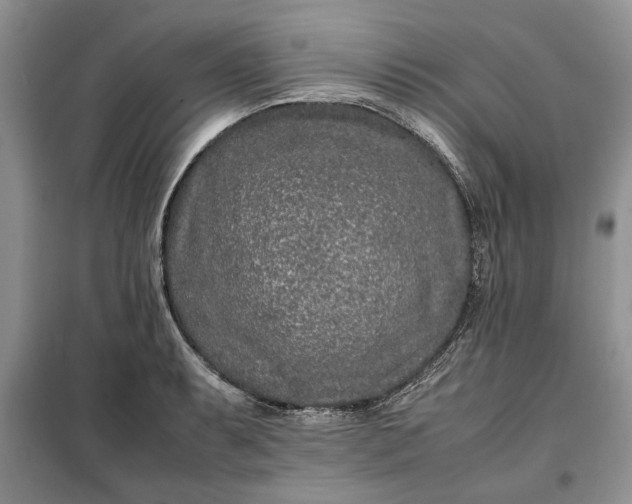 X0000099511087200805291144