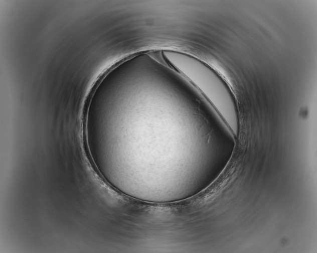 X0000099511088200805291144