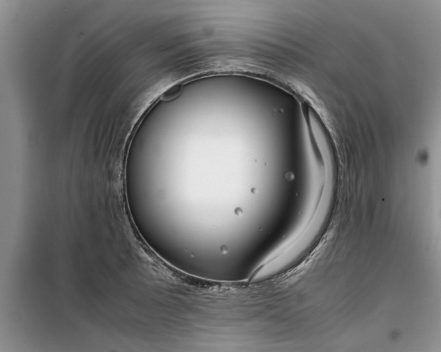 X0000099511089200805291144