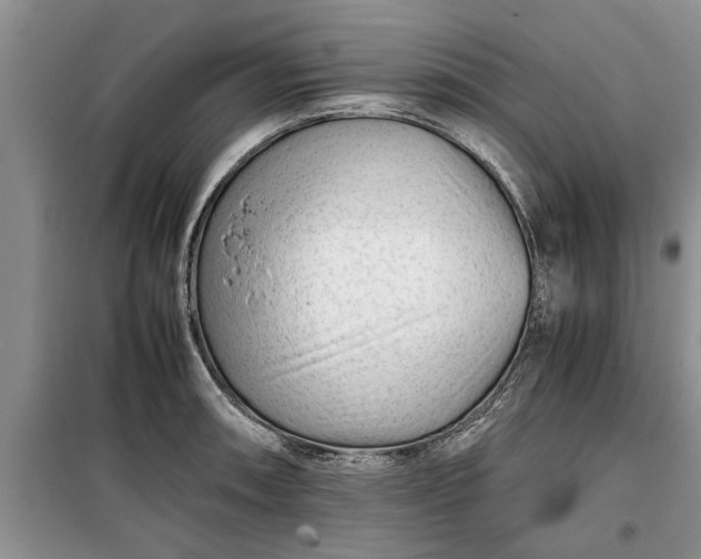 X0000099511090200805291144