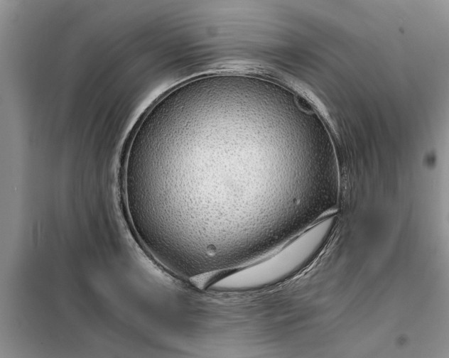 X0000099511091200805291144