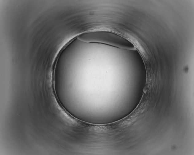 X0000099511092200805291144