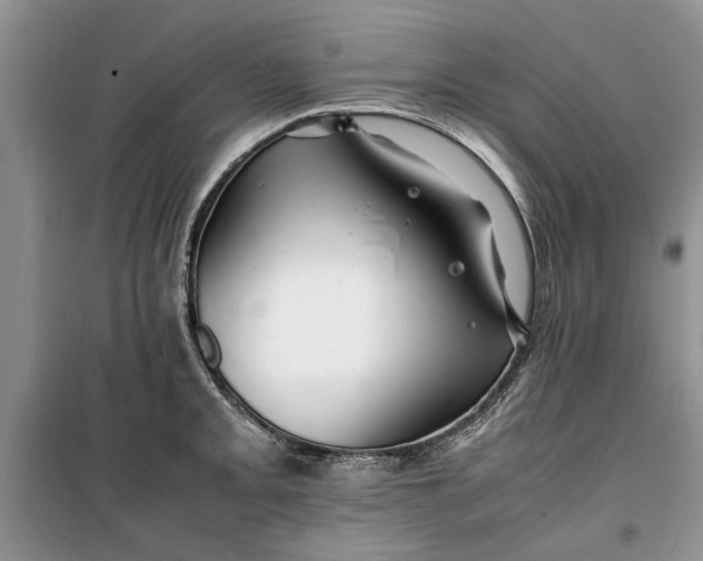 X0000099511093200805291144