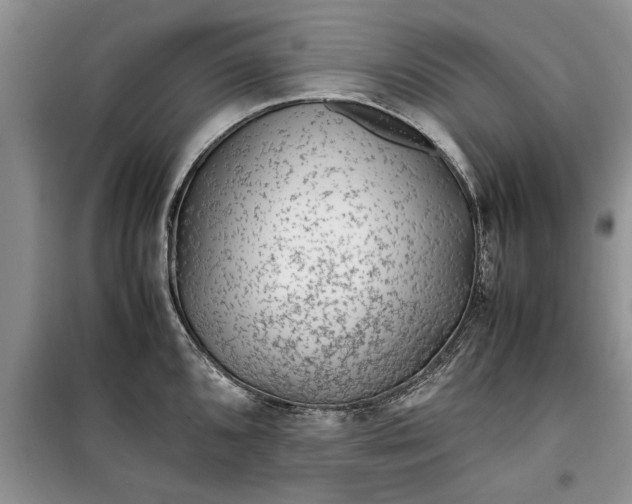 X0000099511096200805291144