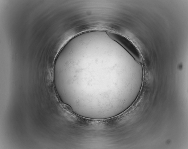 X0000099511097200805291144