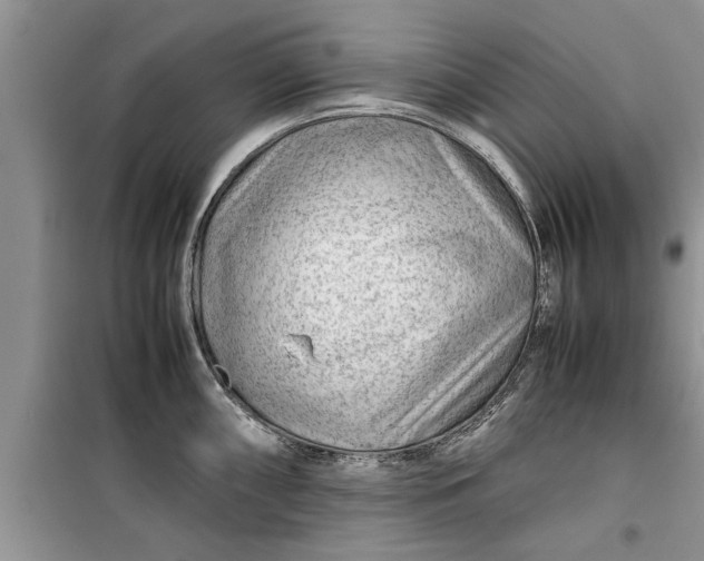 X0000099511098200805291144