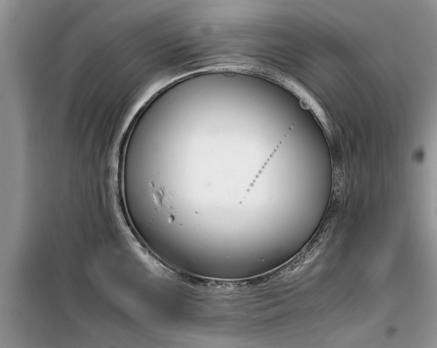 X0000099511099200805291144